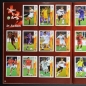 Preview: Euro 2008 Panini sticker album complete