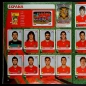 Preview: South Africa 2010 Panini sticker album complete with update