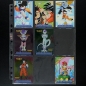 Preview: Dragon Ball Z Serie 1 Panini Trading Cards almost complete -11