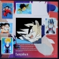 Preview: Dragon Ball Z Panini Sticker Album teilgefüllt - NL