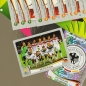 Preview: Brasil 2014 Panini Sticker Album - Swiss Platinum Edition