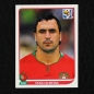 Preview: Hugo Almeida Panini Sticker No. 561 - South Africa 2010