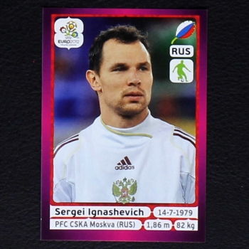 Ignashevich Panini Sticker No. 115 - Euro 2012