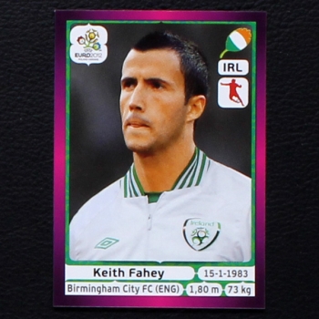 Fahey Panini Sticker No. 353 - Euro 2012