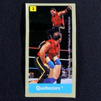 WWF Wrestling 19934 No. 3 / dunkin