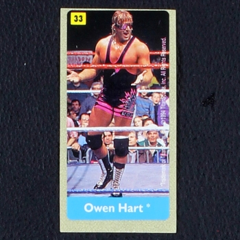 WWF Wrestling 1994 No. 33 / dunkin