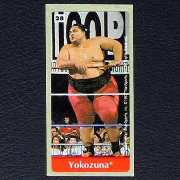 WWF Wrestling 1993 No. 28 / dunkin