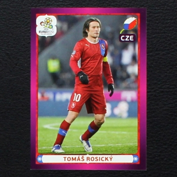 Rosicky Panini Sticker No. 164 - Euro 2012