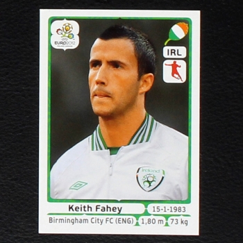 Fahey Panini Sticker No. 353 - Euro 2012