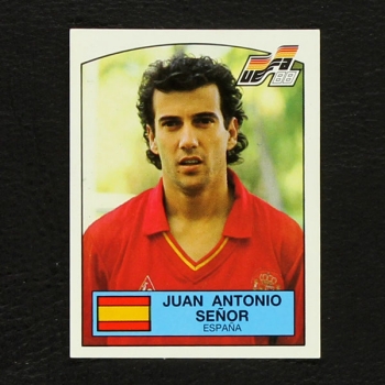 Euro 88 Nr. 142 Panini Sticker Juan Antonio Senor