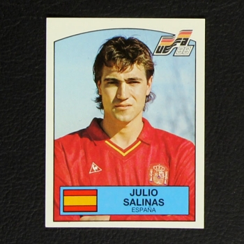 Euro 88 Nr. 150 Panini Sticker Julio Salinas