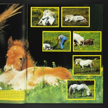 Pferde und Ponys Hobby Panini sticker album complete