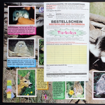 Tierbabys Panini Sticker Album komplett