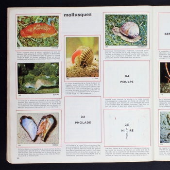 Le monde des Animaux 1970 Panini album with stickers - NL