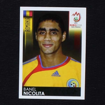 Euro 2008 No. 322 Panini sticker Nicolita