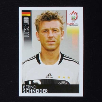 Euro 2008 No. 216 Panini sticker Schneider