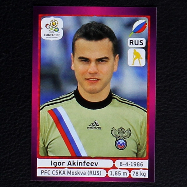 Akinfeev Panini Sticker No. 113 - Euro 2012