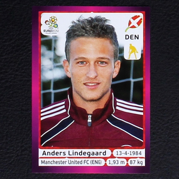 Lindegaard Panini Sticker No. 201 - Euro 2012