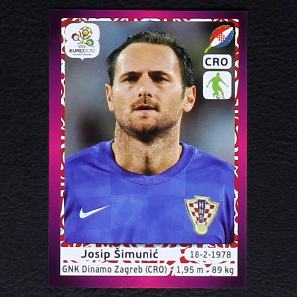 Simunic Panini Sticker No. 376 - Euro 2012