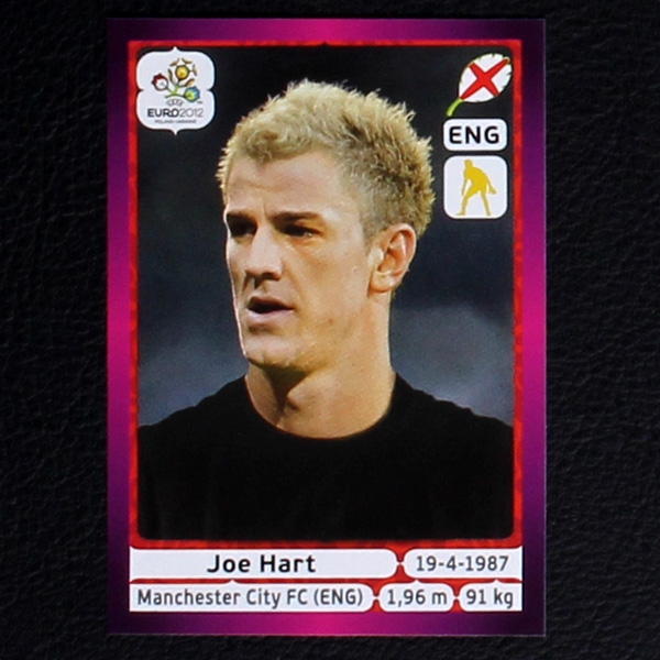 Hart Panini Sticker No. 490 - Euro 2012