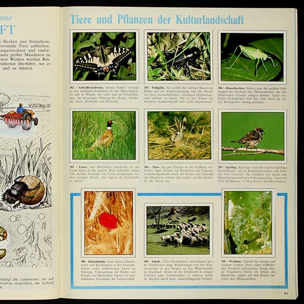 WWF Bedrohte Natur Panini Sticker Album komplett