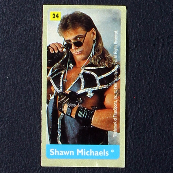 WWF Wrestling 1994 No. 24 / dunkin