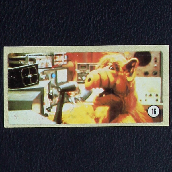 Alf No. 16 / dunkin