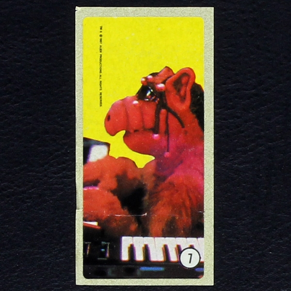 Alf No. 7 / dunkin