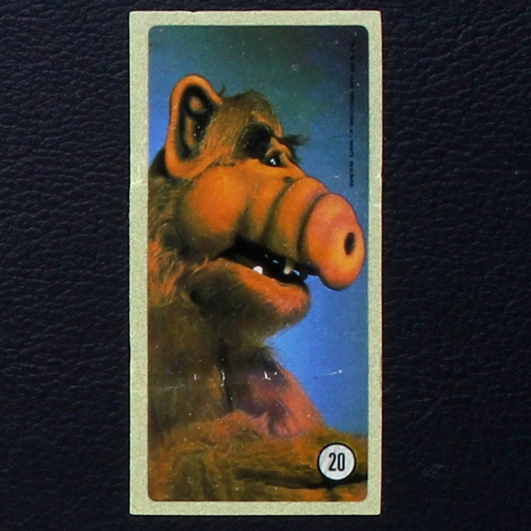 Alf No. 20 / dunkin