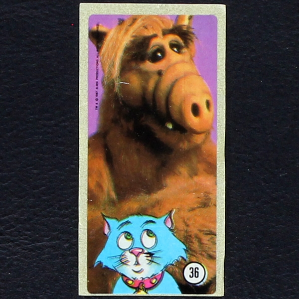 Alf No. 36 / dunkin