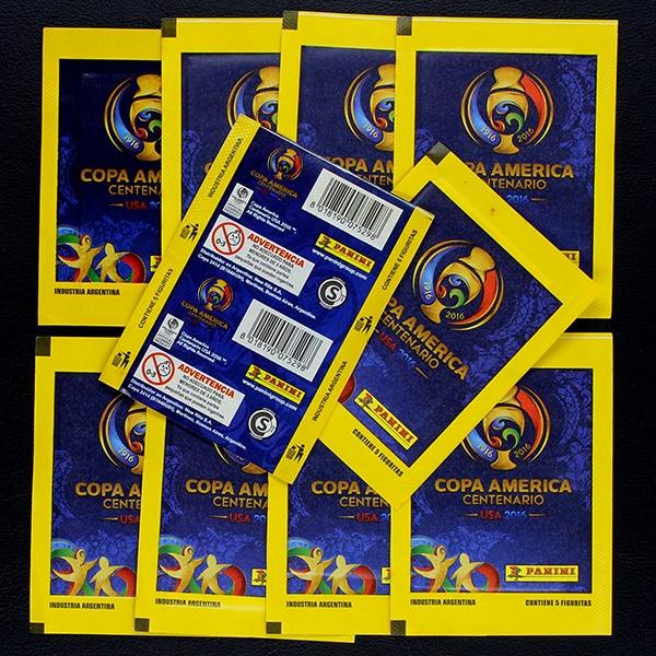 Copa America USA 2016 Panini bags - Argentina Version 10x