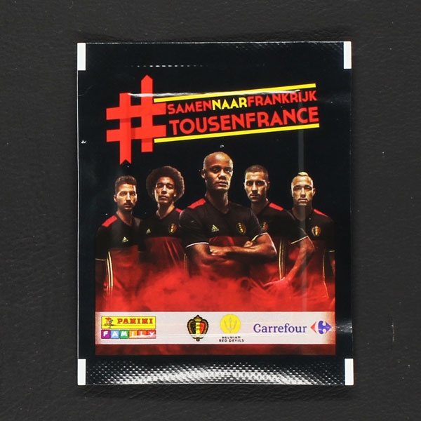 Euro 2016 Panini Sticker Tüte Variante