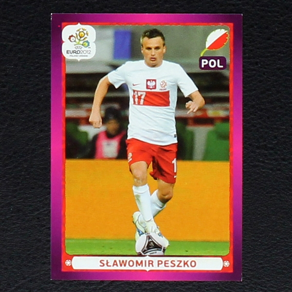 S.Peszko Panini Sticker No. 76 - Euro 2012