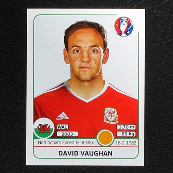 David Vaughan Panini Sticker No. 189 - Euro 2016