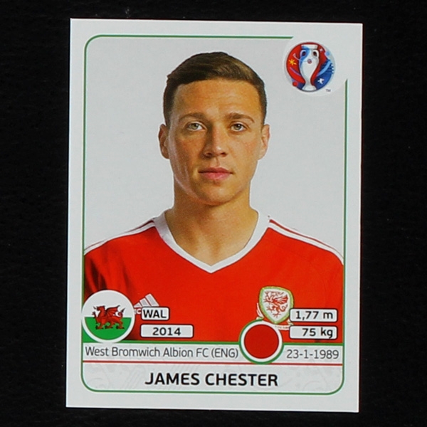 James Chester Panini Sticker No. 183 - Euro 2016