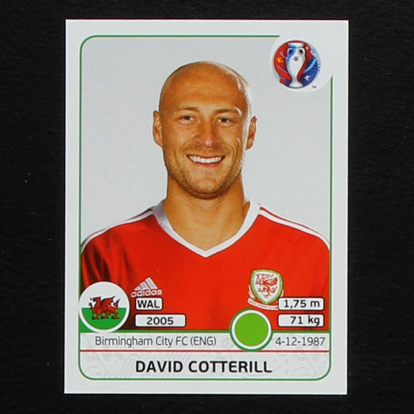 David Cotterill Panini Sticker No. 197 - Euro 2016