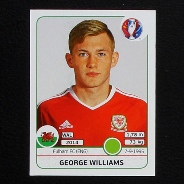 George Williams Panini Sticker No. 196 - Euro 2016