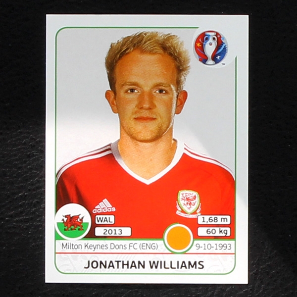 Jonathan Williams Panini Sticker No. 193 - Euro 2016