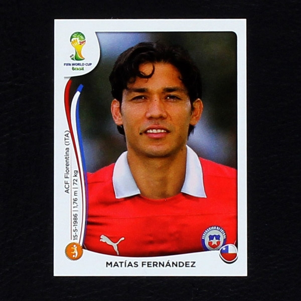Brasil 2014 No. 157 Panini sticker Matias Fernandez