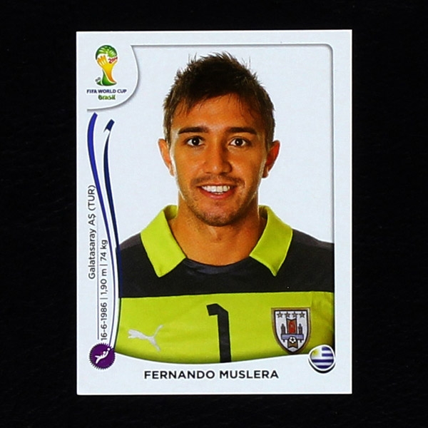 Brasil 2014 Nr. 262 Panini Sticker Muslera