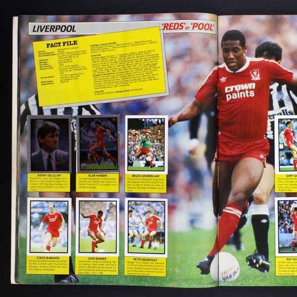 Panini & Daily/Sunday Mirror Football Sticker Albums 1988, Both