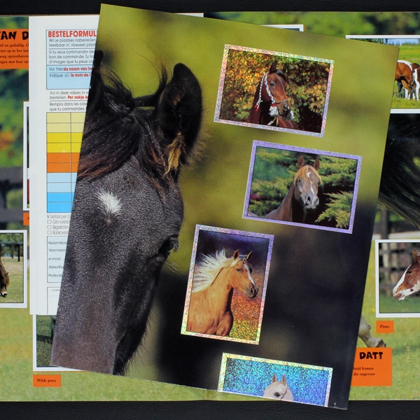 Mijn Vrienden de Paarden Panini Sticker Album komplett - NL