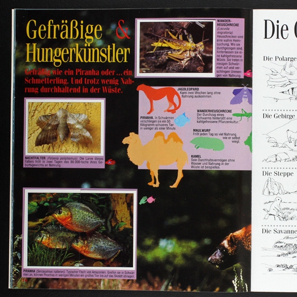 Wilde Tiere Panini Sticker Album teilgefüllt